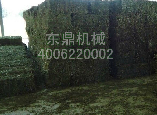 網(wǎng)帶牧草烘干機(jī)